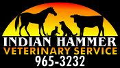 Indian Hammer Veterinary Service
